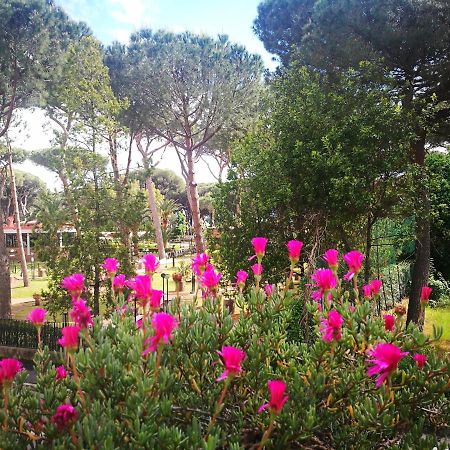 Casa Margherita Affittacamere B&B Follonica Exterior foto